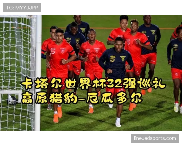 厄瓜多尔2026世界杯黑马潜力解析：高原雄鹰能否复刻卡塔尔奇迹
